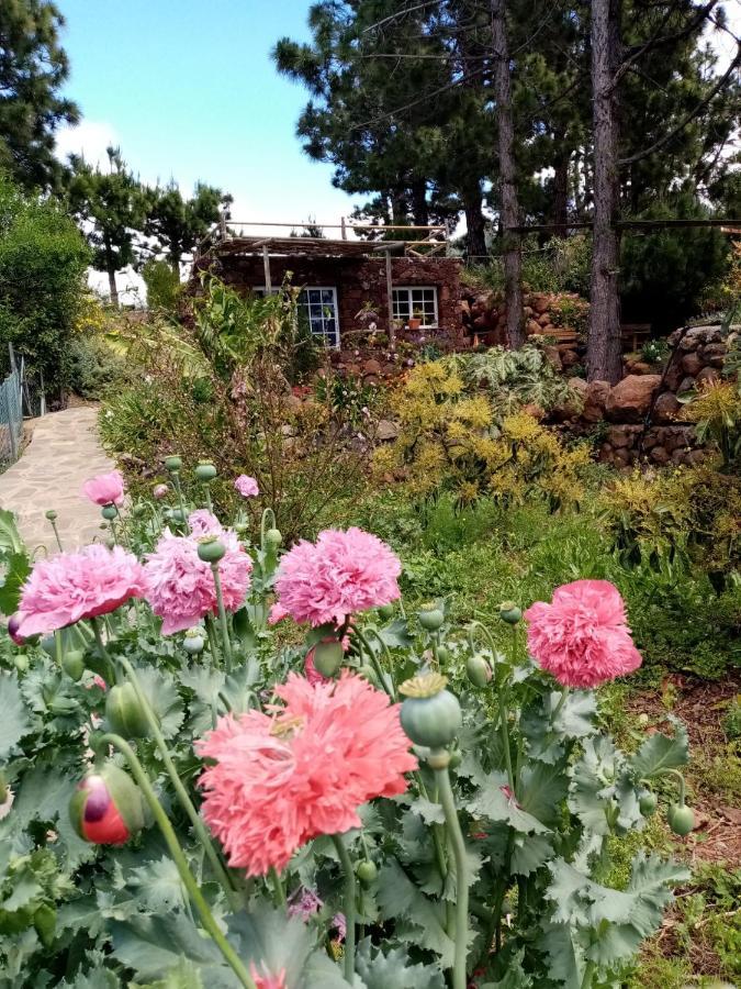 Puntagorda Casa Los Pinos - Sunset & Wifi מראה חיצוני תמונה