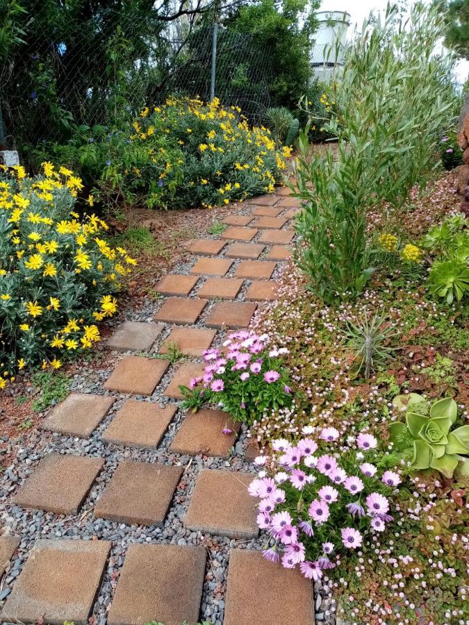 Puntagorda Casa Los Pinos - Sunset & Wifi מראה חיצוני תמונה