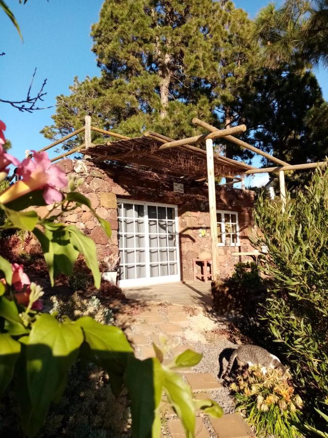 Puntagorda Casa Los Pinos - Sunset & Wifi מראה חיצוני תמונה