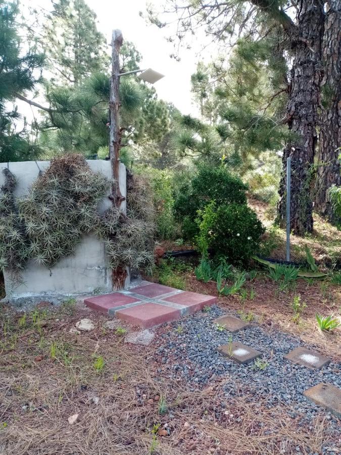 Puntagorda Casa Los Pinos - Sunset & Wifi מראה חיצוני תמונה